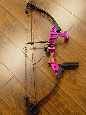 Ziya's Bow and Arrow banner image