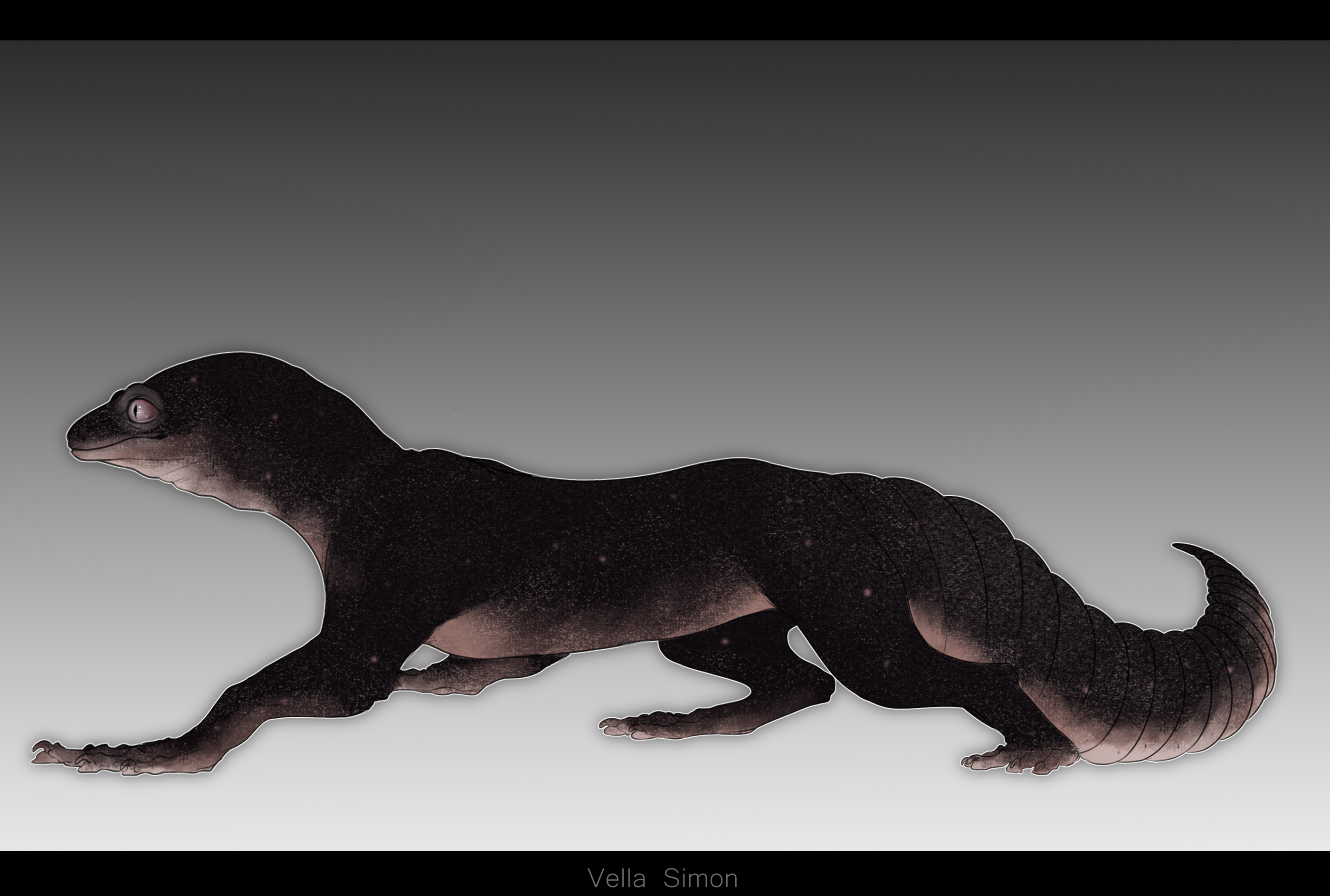 Baggrok Lizard banner image