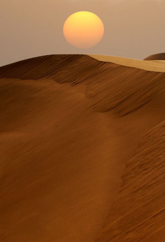 Ilionisi banner image