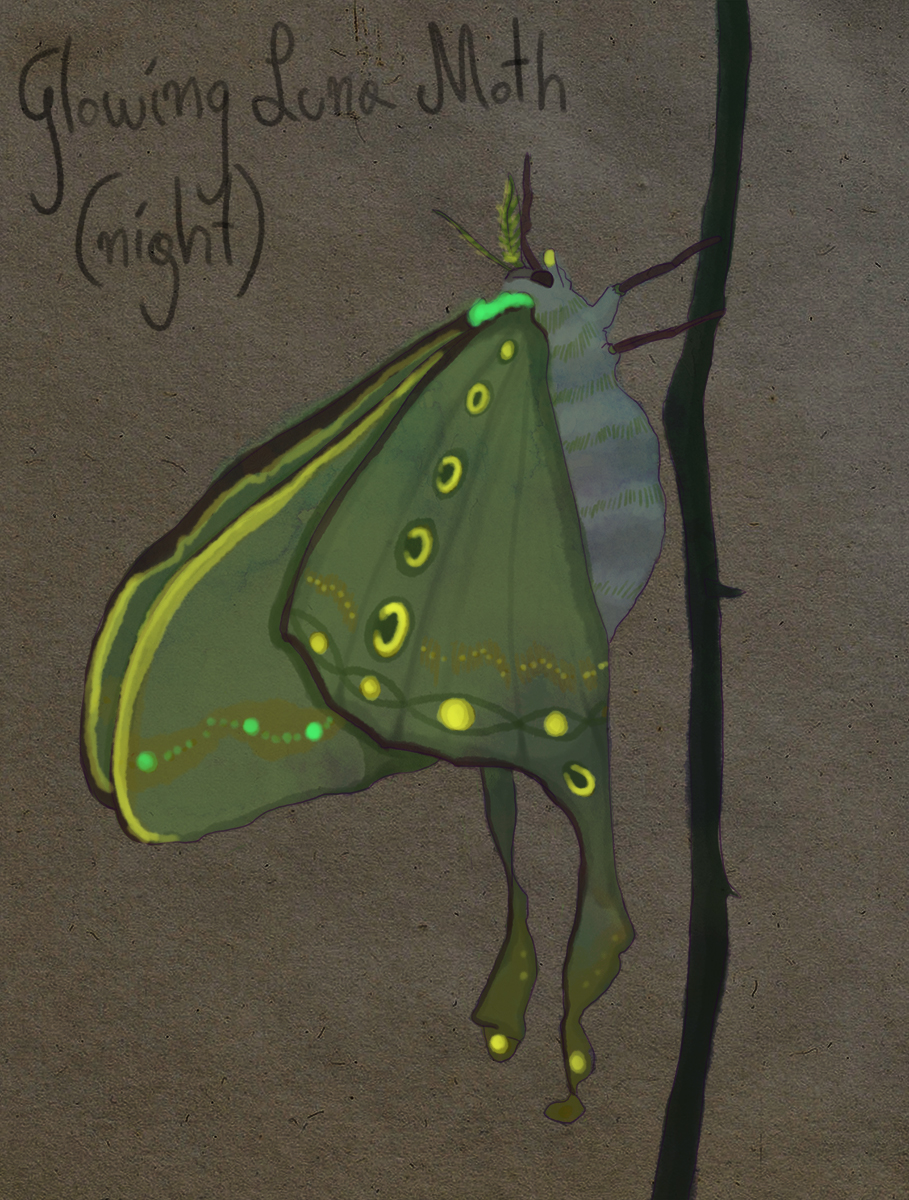 Glowing Luna Moth banner image
