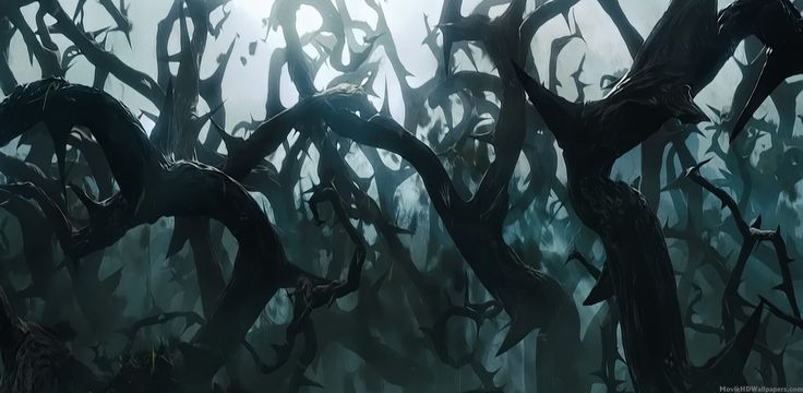 Dante Wyatt Helizor Nadine-etdoh banner image