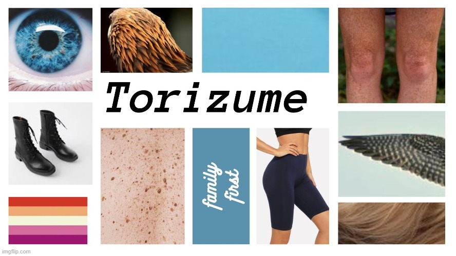 Torizume Yamazaki  banner image