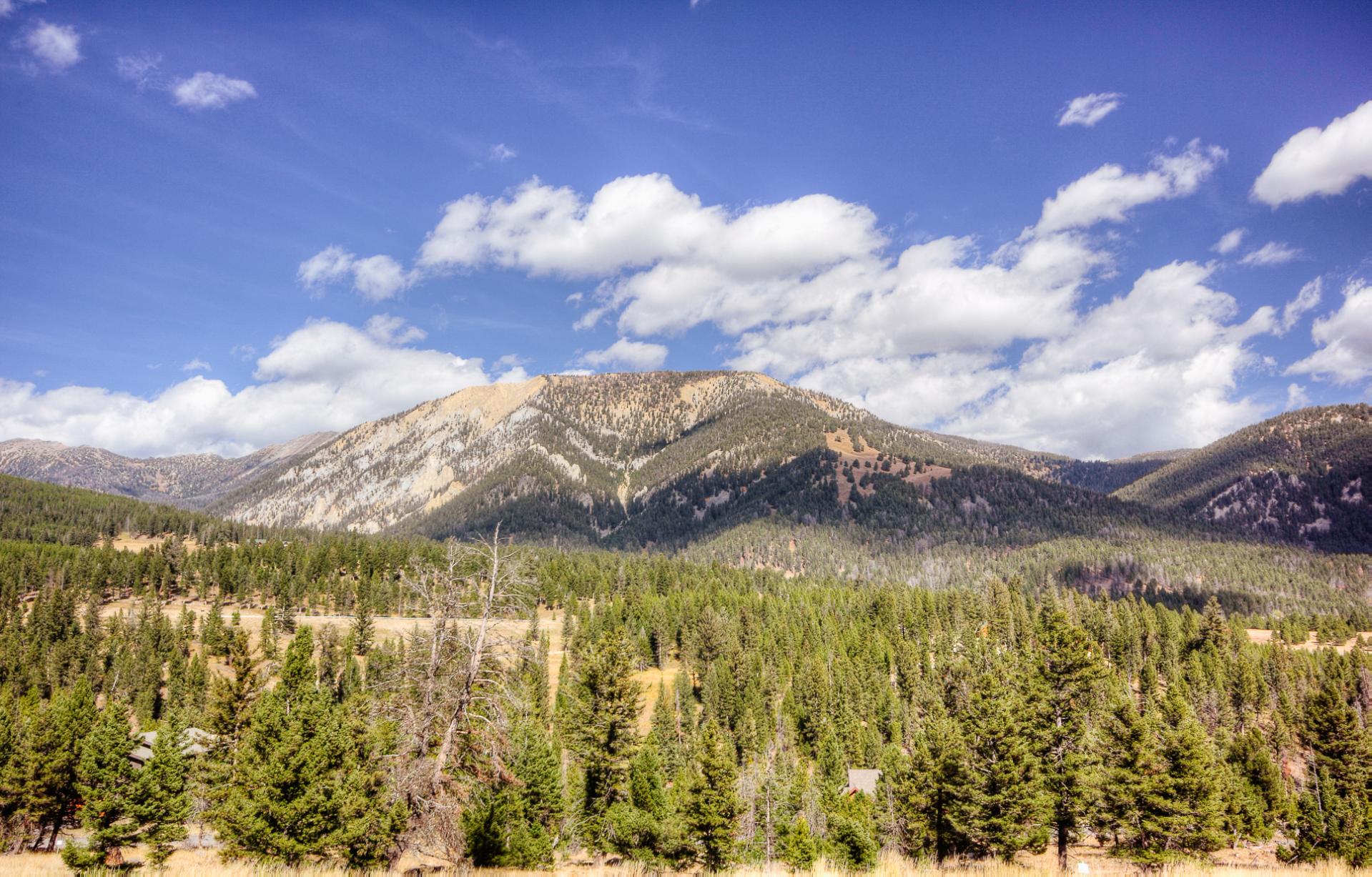 Yellowstone Luxury Tours