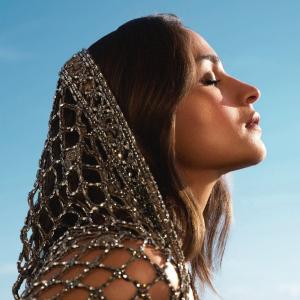 Alia Bhatt Shines in Glamorous Silver Saree on the Red Carpet – Latest Photos