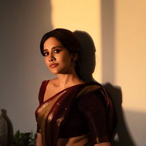 Actress Nabha Natesh Radiates Elegance in Traditional Silk Saree