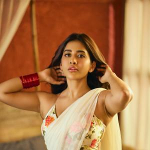 Actress Nabha Natesh Stuns in Elegant Floral Saree Look with Natural Glam Makeup