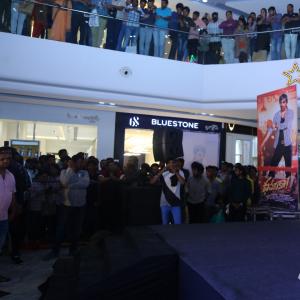 Dhamaka Movie Team Meet n Greet