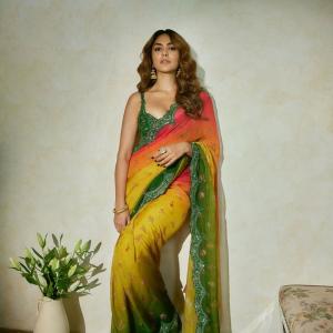 Mrunal Thakur Stunning in Traditional Saree - Elegant and Graceful Look