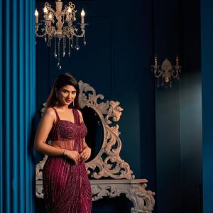 Pragya Nagra Shines in Glamorous Maroon Saree Gown