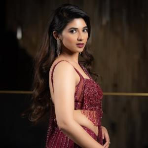 Pragya Nagra Shines in Glamorous Maroon Saree Gown