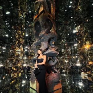 Mrunal Thakur Stuns in Elegant Black Gown at Event