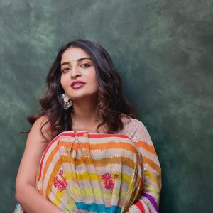 Actress Ananya Nagalla Radiates Elegance in a Vibrant Multicolor Saree