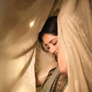 Actress Nabha Natesh Shines in an Elegant Green and Gold Saree