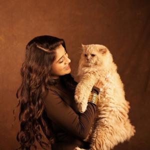 Actress Rashi Singh Shines in an Elegant Brown Bodycon Look