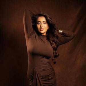 Actress Rashi Singh Shines in an Elegant Brown Bodycon Look