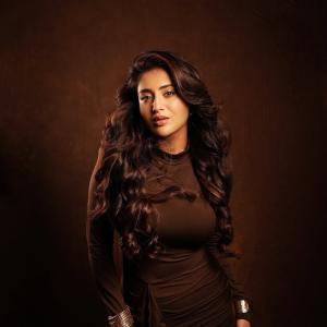 Actress Rashi Singh Shines in an Elegant Brown Bodycon Look