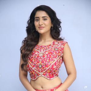 Rashi Singh Stuns in Vibrant Pink Lehenga with Intricate Ethnic Embroidery