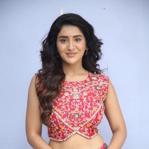 Rashi Singh Stuns in Vibrant Pink Lehenga with Intricate Ethnic Embroidery