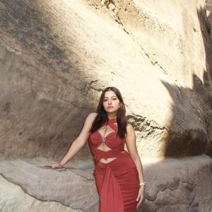 Simran Kaur Stuns in Elegant Red Dress Photoshoot Amid Scenic Rocky Canyon