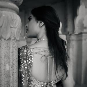 Nabha Natesh Inspired Elegant Saree Look with Royal Indian Aesthetic