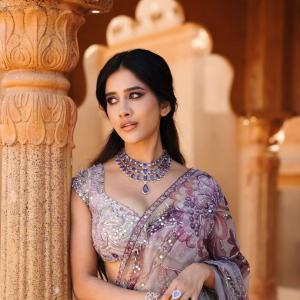 Nabha Natesh Inspired Elegant Saree Look with Royal Indian Aesthetic
