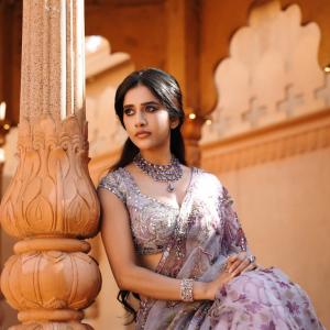 Nabha Natesh Inspired Elegant Saree Look with Royal Indian Aesthetic