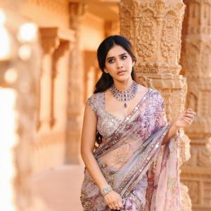 Nabha Natesh Inspired Elegant Saree Look with Royal Indian Aesthetic