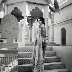 Nabha Natesh Inspired Elegant Saree Look with Royal Indian Aesthetic