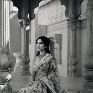 Nabha Natesh Inspired Elegant Saree Look with Royal Indian Aesthetic