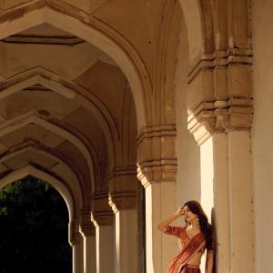 Actress Nabha Natesh Shines in a Rust Orange Printed Saree