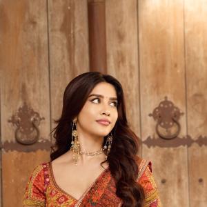 Actress Nabha Natesh Shines in a Rust Orange Printed Saree