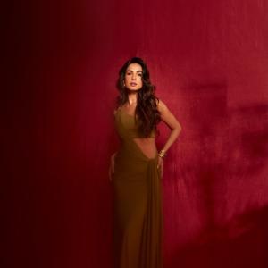 Sonal Chouhan Stuns in Elegant Olive-Gold Outfit