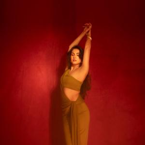 Sonal Chouhan Stuns in Elegant Olive-Gold Outfit