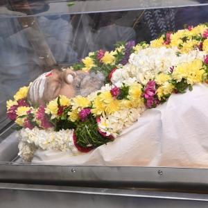 Celebs Condolences to K Vishwanath Garu