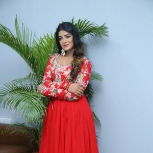 Dimple Hayathi Latest Photos