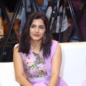 Save The Tigers Web Series Pre Release Event