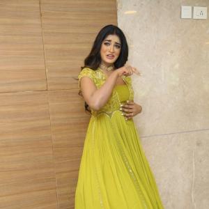 Dimple Hayathi Latest Photoshoot