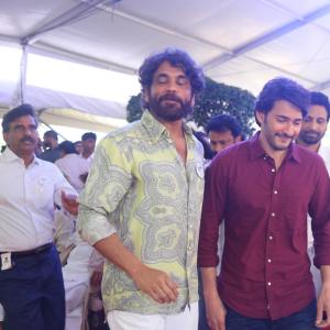 ANR 100 Years Celebrations