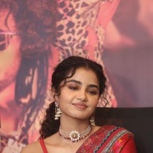 Tillu Square  Telugu Movie success Meet