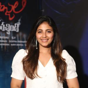 geethanjali malli vachindi Movie Success Meet
