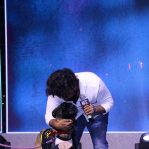 Hit 2 Movie Success Meet