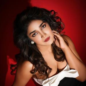 Dimple Hayathi shines in glamorous & graceful look – latest photos