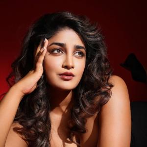 Dimple Hayathi shines in glamorous & graceful look – latest photos