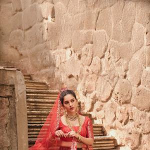 Actress Nabha Natesh Looks Royal in Traditional Lehenga – Latest Photos