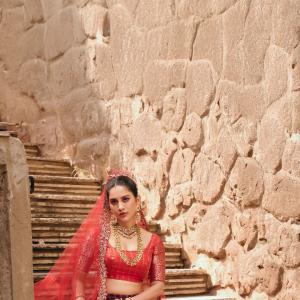 Actress Nabha Natesh Looks Royal in Traditional Lehenga – Latest Photos