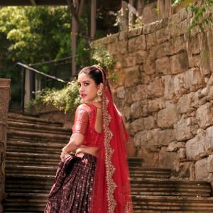 Actress Nabha Natesh Looks Royal in Traditional Lehenga – Latest Photos