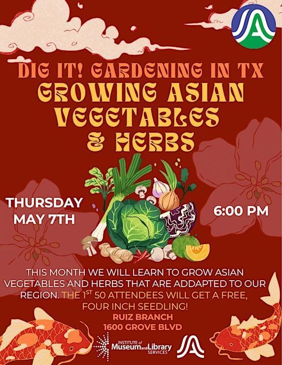 Dig It! Gardening in Texas Growing Asian Vegetables and Herbs - Austin, TX
