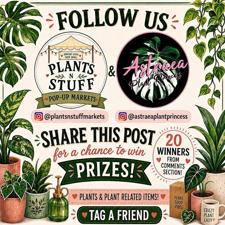 Plants N Stuff Pop-Up Market San Jose