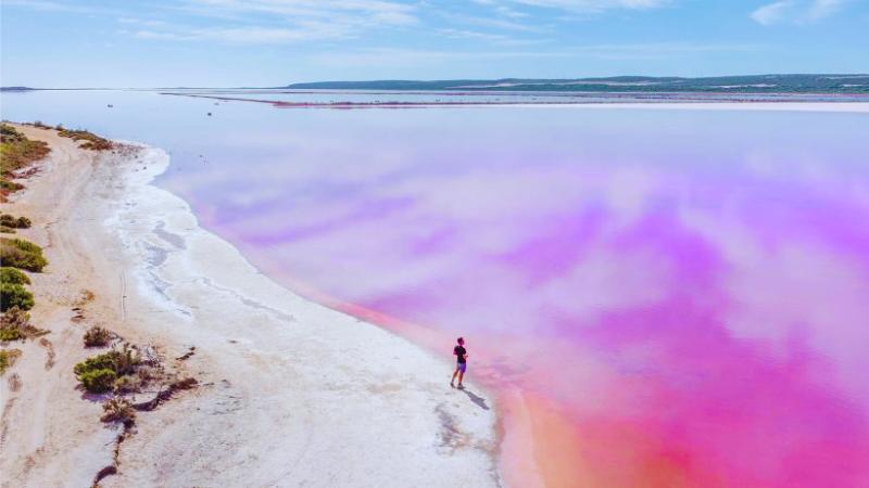 Australia’s Pink Wonder: The Science Behind Lake Hillier’s Unique Color