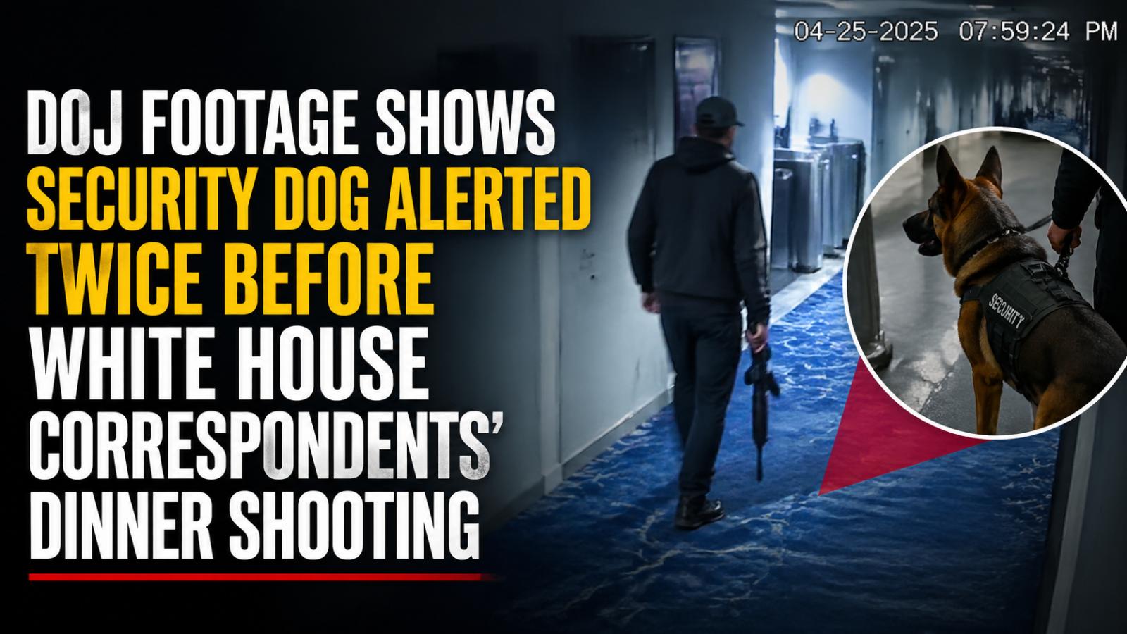 Security footage shows missed dog alerts before White House shooting